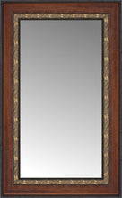 16" x 24" Malabar Walnut Custom Framed Mirror