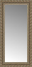 15" x 29" Ambrosia Silver Custom Framed Mirror