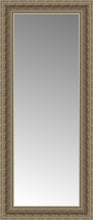 14" x 30" Ambrosia Silver Custom Framed Mirror