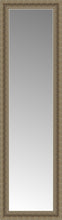 15" x 48" Ambrosia Silver Custom Framed Mirror