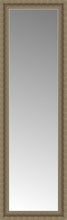 16" x 48" Ambrosia Silver Custom Framed Mirror