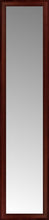 16" x 66" Ansley Mahogany Custom Framed Mirror