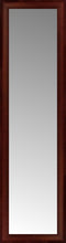 15" x 51" Ansley Mahogany Custom Framed Mirror