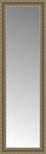 16" x 48" Ambrosia Silver Custom Framed Mirror